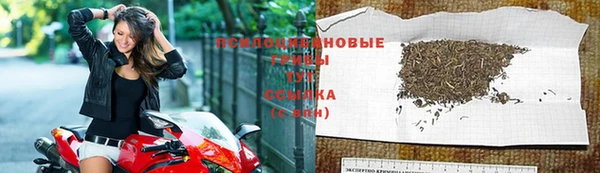 спиды Арсеньев