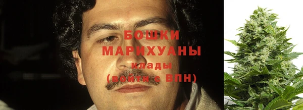 спиды Арсеньев