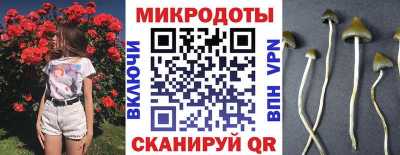 Псилоцибиновые грибы Psilocybine cubensis  блэк спрут как зайти  Ирбит 